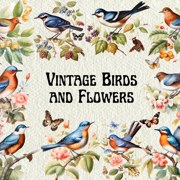 Imágenes Prediseñadas de pájaros y flores vintage - Imágenes Prediseñadas de pájaros antiguos, imágenes prediseñadas de pájaros florales, gráficos de aves, imágenes prediseñadas de flores vintage, uso comercial PNG