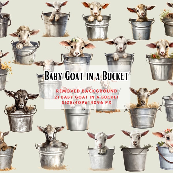 Baby Goat in a Bucket - Watercolor Cute Farm Animal Clipart - Watercolor Animals, Cute Kid Goat, Cute Animals, Farmhouse -Commercial Use PNG