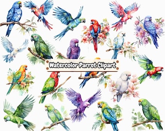 Paquete de imágenes prediseñadas de loro de acuarela vibrante, pájaros exóticos y tropicales, flores de primavera, flores de pájaros coloridos, PNG, descarga instantánea, uso comercial