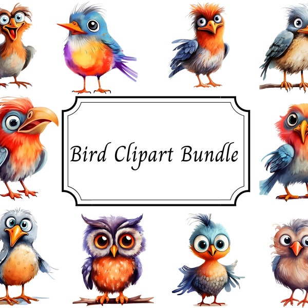Bird Clipart Bundle, Funny Bird Clipart, Cute Bird Clipart, Funny Animal Clipart, Cute Animals PNG, Digital Instant Download, Commercial Use