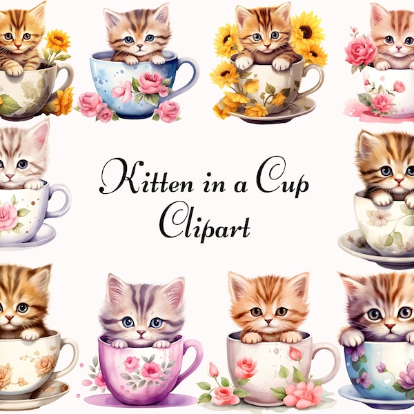 Kätzchen in einer Tasse - süßes Kätzchen PNG, Aquarell Katze digitale Kunst, Kätzchen Tassen Kunst, Teetasse Kätzchen Clipart, Blumen Katze Clipart,Kawaii Katze