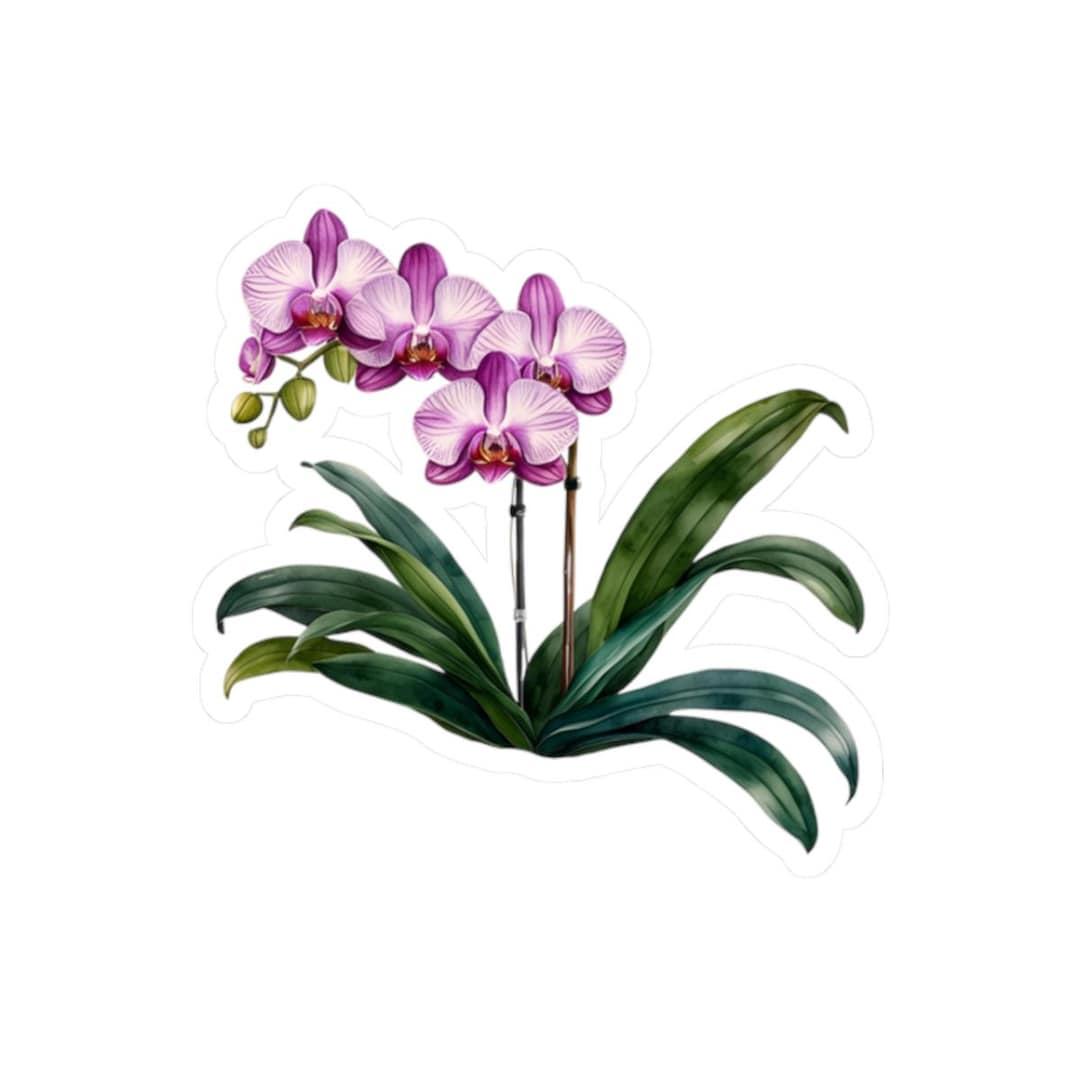 Orchid Sticker Orchid Kiss-cut Stickers, Floral Laptop Decal, Tropical Gift, Botanical ...