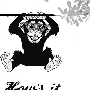 Monkey wall art