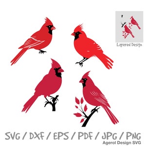 Cardinal rouge oiseau SVG Bundle Cardinal rouge oiseau superposition SVG Mémorial Clipart SVG Noël Clipart Noël oiseau Cardinal oiseau png Cardinaux