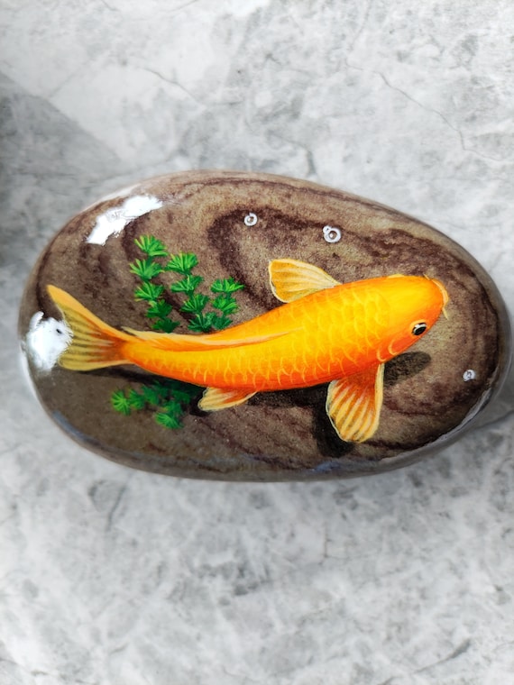 Fish rock aquarium online