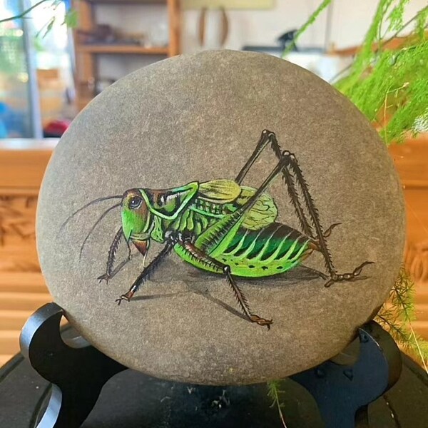 Painted Grasshopper on natural stone, rock painting, stone art, insects painting, custom orders available .