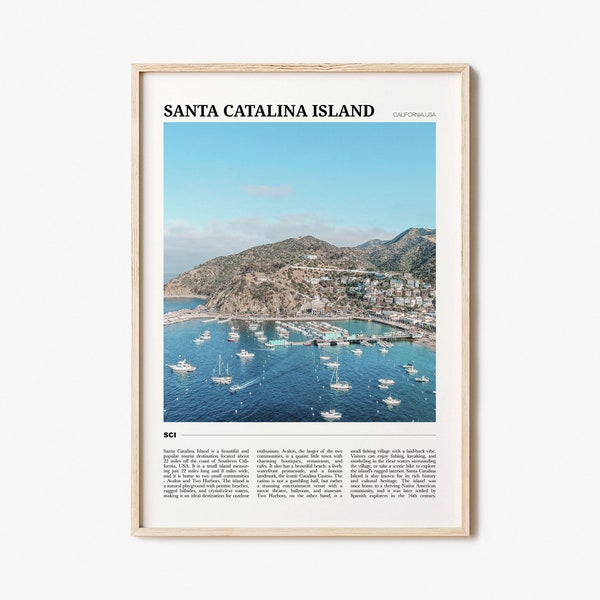 Cartel de viaje de la isla de Santa Catalina, arte de la pared de la isla de Santa Catalina, impresión del cartel de Santa Catalina, foto de Santa Catalina, decoración de Santa Catalina