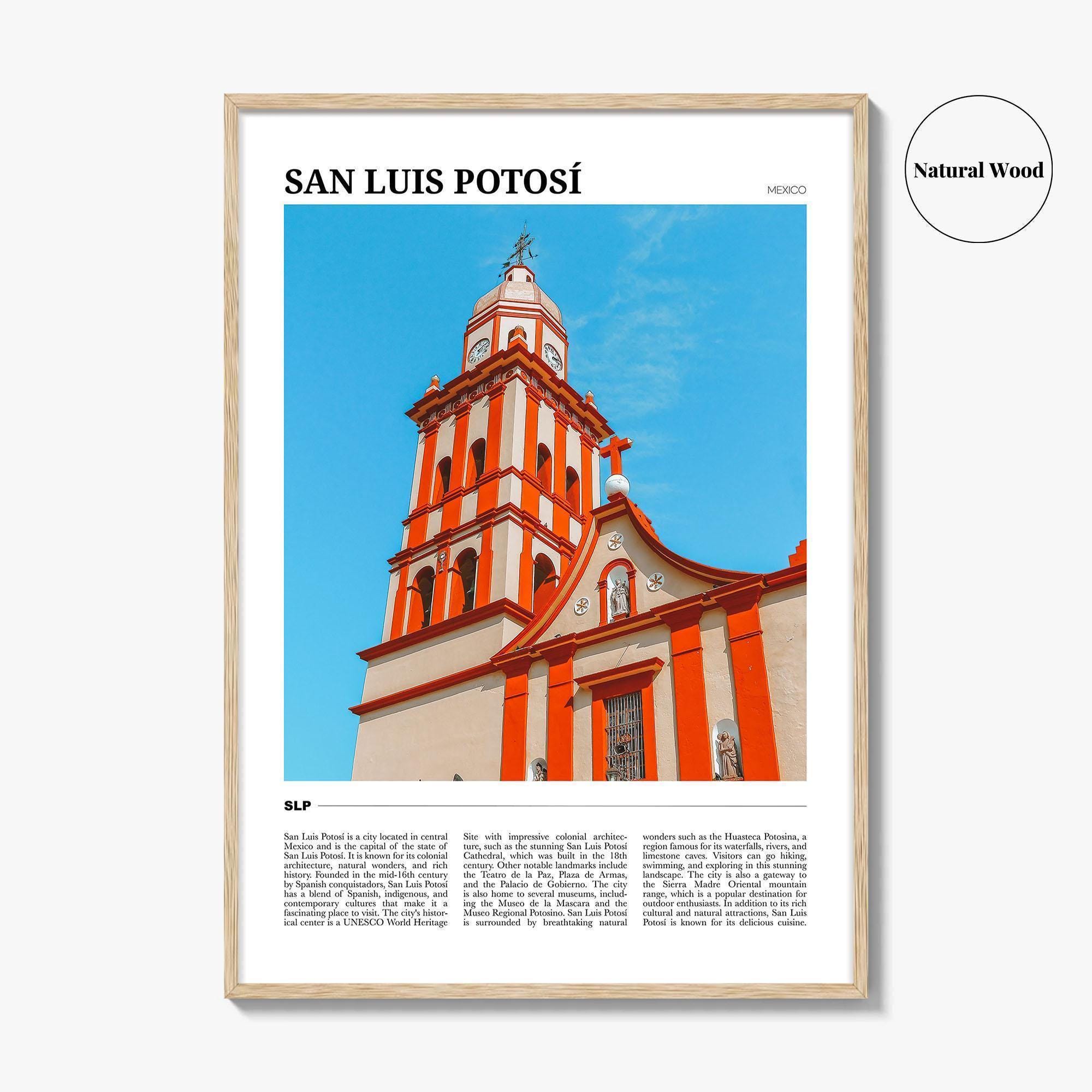 San Luis Potosi サンルイポトシ　ガイドブック il_fullxfull.7727537912_gvpx.jpg