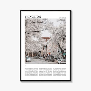 Princeton Travel Poster, Princeton Wall Art, Princeton Poster Print, Princeton Photo, Princeton Decor, New Jersey, USA