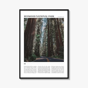 Redwood National Park Travel Poster, Redwood National Park Wall Art, Redwood National Park Poster Print, Redwood Photo, Redwood Decor