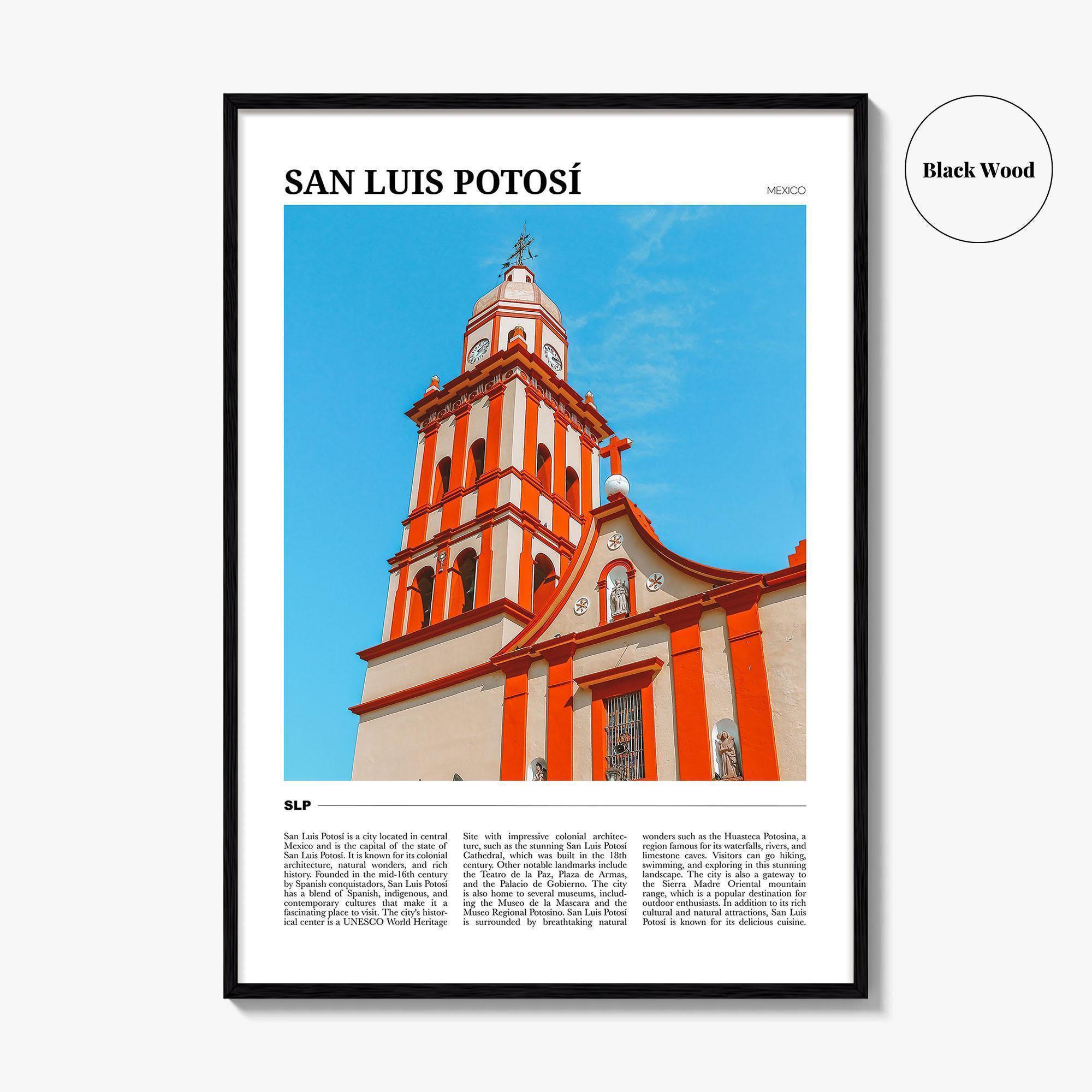 San Luis Potosi サンルイポトシ　ガイドブック il_fullxfull.7727537864_hv85.jpg