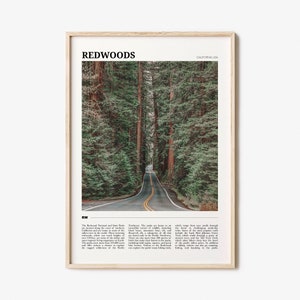 Redwoods Travel Poster, Redwoods Wall Art, Redwoods Poster Print, Redwoods Photo, Redwoods Decor, California, USA