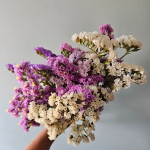 Mixed Bunch of Colored Dried Statice Flowers