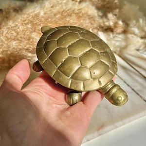 Può includere: Una statuetta a forma di tartaruga in ottone con un guscio strutturato e dettagli sulle zampe e sulla testa. La tartaruga è di un caldo colore oro e sembra essere in metallo. L'oggetto è decorativo.