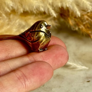 May include: A miniature brass bird ornament. The bird is depicted with intricate detailing, highlighting its feathers and form. The figurine has a golden finish, with a small beak and tiny feet. The overall design is realistic and artistic, suitable for display.
