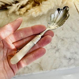 Puede incluir: Una cuchara plateada con un cuenco en forma de concha y un mango color crema. El mango está adornado con bandas plateadas. La cuchara se sostiene en una mano, lo que sugiere su tamaño y uso. La cuchara es probablemente para servir o comer.