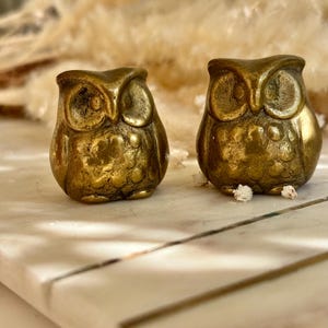 Pair of Vintage Solid Brass Owl Figurines – Mid-Century Miniature Animal Sculptures