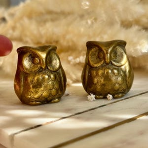 Pair of Vintage Solid Brass Owl Figurines – Mid-Century Miniature Animal Sculptures