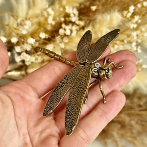May include: A detailed bronze dragonfly brooch with intricate wing patterns and delicate legs. The dragonfly is a warm, antique gold colour, and the wings have a textured, dotted design. The brooch is held in a hand, with a blurred background of dried flowers.
