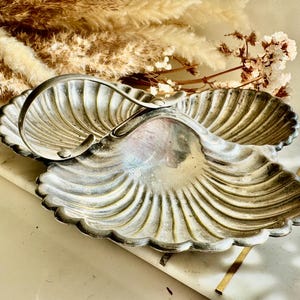 Op de afbeelding: Een zilverkleurige, schelpvormige serveerschaal met een handvat. De schaal heeft een geschulpte rand en een geribbelde binnenkant. De achtergrond omvat gedroogde planten en een marmeren oppervlak.