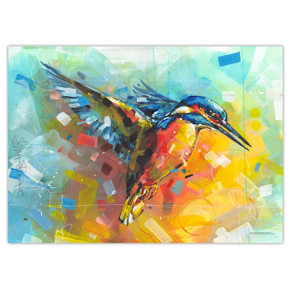 Kingfisher poster 70x50 cm