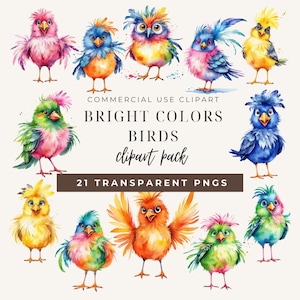 Watercolor Birds PNG Clipart: Funny Bird Art, Commercial Use (Digital Download)