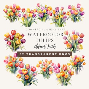 Watercolor Tulips Clipart Bundle: Spring Floral PNG Images (Commercial Use) (Instant Download)