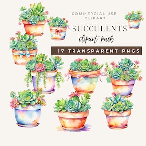 Clipartbundel vetplanten | Commercieel gebruik | Directe digitale download | PNG-bestanden planten | Sappig png-bestand | Cactus png | Sappige bloem