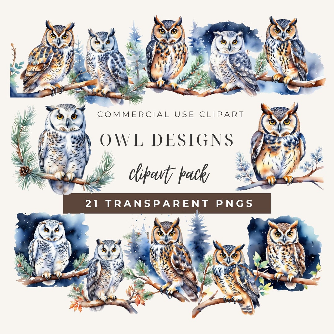 Watercolor Owl Clipart Bundle: 21 PNG Files, Commercial Use (digital ...