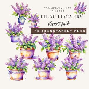 Peut inclure: Un ensemble de 16 illustrations aquarelle de fleurs de lilas en pots. Les fleurs sont violettes et blanches, et les pots sont bruns et blancs. Les illustrations sont parfaites pour ajouter une touche de printemps à vos créations.