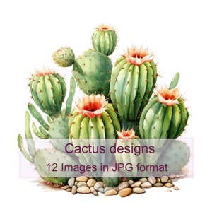 Bundle de cliparts numériques cactus - 12 fichiers JPG de haute qualité pour téléchargement immédiat, fond blanc, fabrication de cartes, papier artisanal numérique, scrapbooking