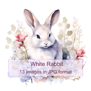 13 immagini digitali di White Rabbit - 13 JPG di alta qualità, download digitale istantaneo Poster digitale con sfondo bianco Creazione di biglietti Biglietto di Pasqua