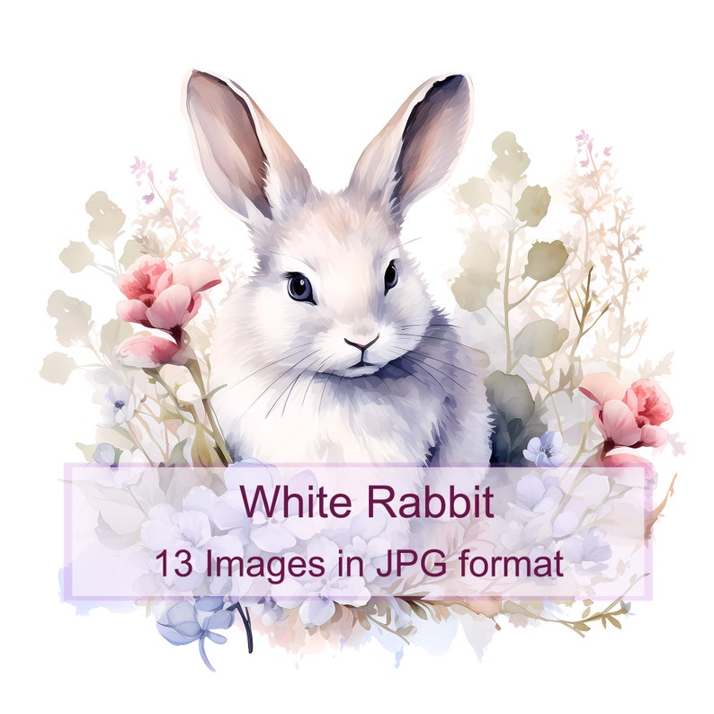 13 White Rabbit Digital Images - 13 High Quality Jpgs, Instant Digital ...