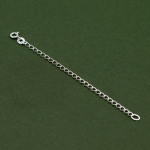May include: A silver chain with a lobster clasp.
