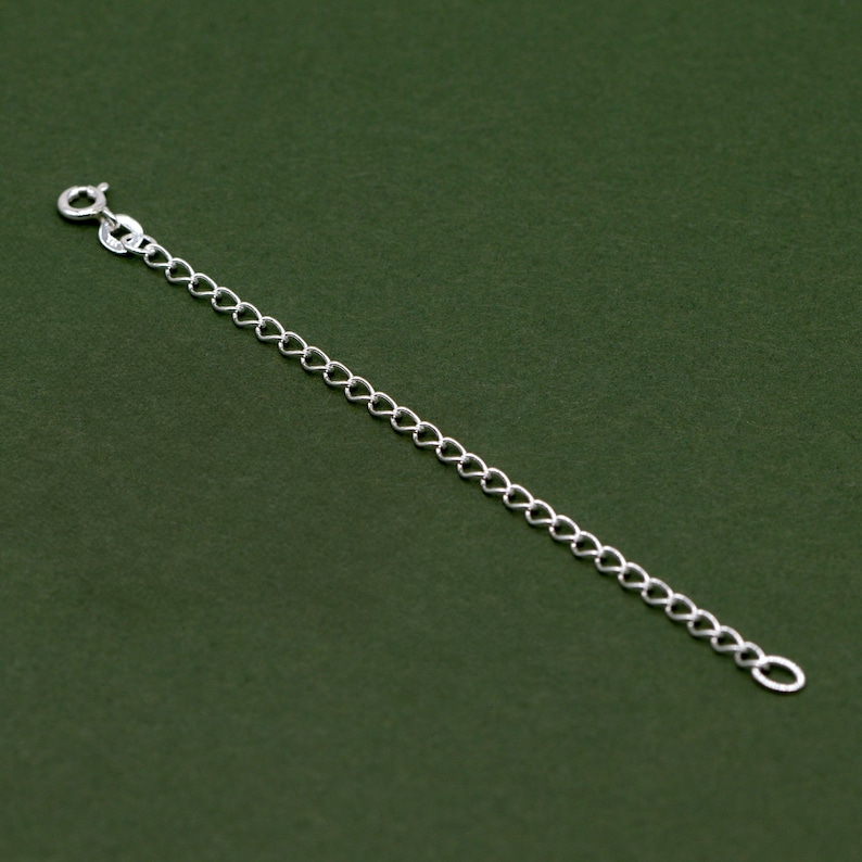 May include: A silver chain with a lobster clasp.