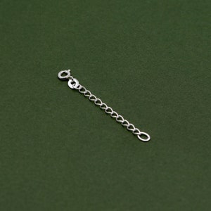 May include: A silver chain extender with a lobster clasp on one end and a jump ring on the other.