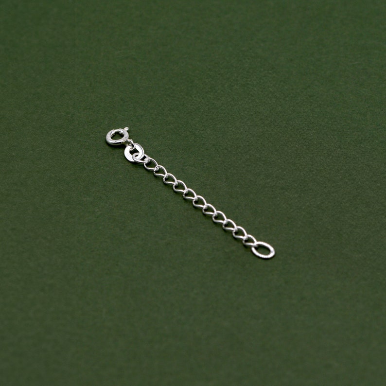 May include: A silver chain extender with a lobster clasp on one end and a jump ring on the other.