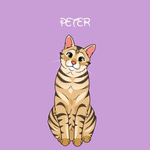 Pet Cartoon Style , cartoon portrait for your fur babies digital file only Fast delivery via google drive link
