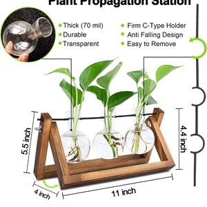 May include: A wooden plant propagation station with three glass bulbs for cuttings. The station is 28 cm wide, 14 cm tall, and 10 cm deep. The bulbs are suspended from a metal rod.