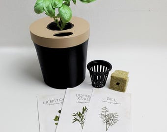 Hydroponic system according to the Kratky method – ideal for your herbs!