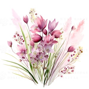 Wild Blooming Beargrass Watercolor Floral Wildflowers Clipart PNG ...