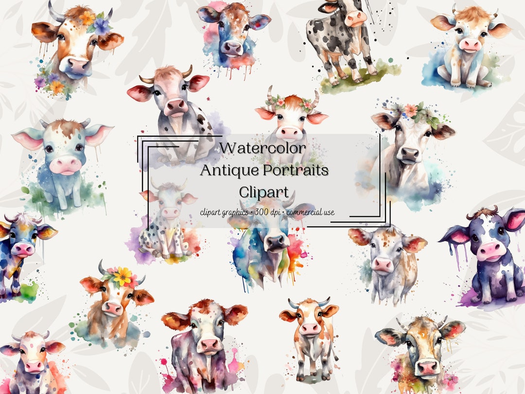 Watercolor Cow Clipart - Digital Png Cows, Cow Graphics for Instant ...