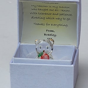 ASISTENTE DE ENSEÑANZA PERSONALIZADO Set de regalo de recuerdo de agradecimiento con osito de peluche y manzana