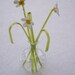 see more listings in the Flowers, Grass & Vase section