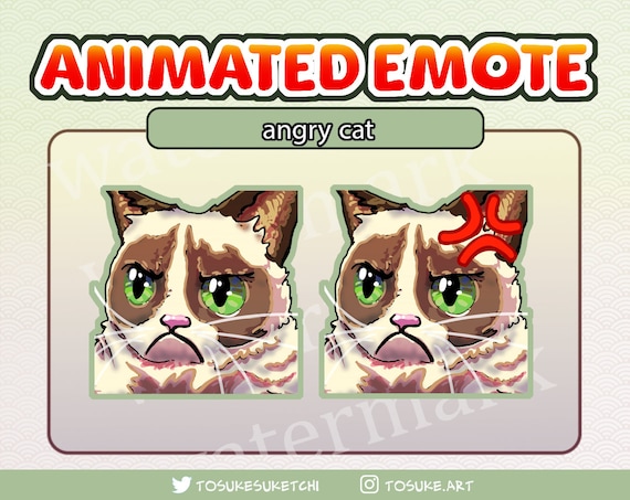 angry cat meme, angry cat, funny angry cat | Sticker