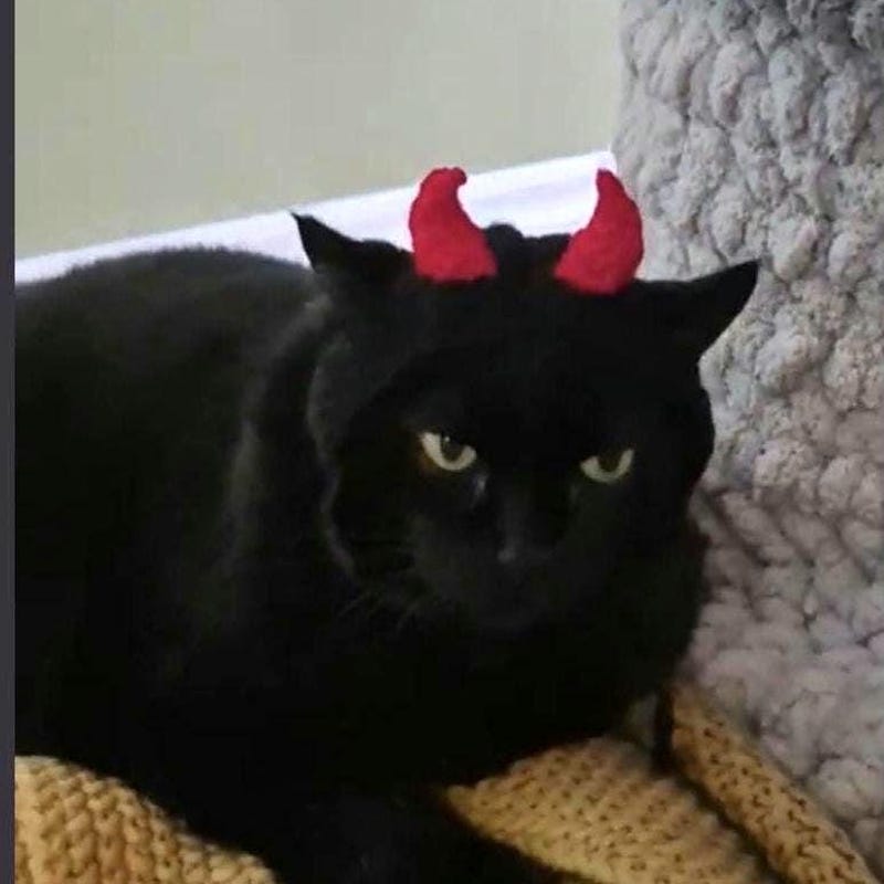 Devil Cat Hat Crochet - Etsy UK