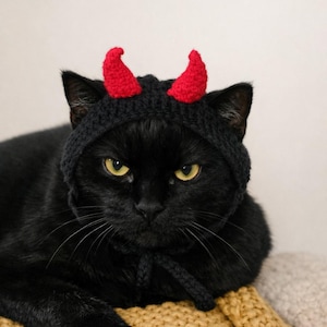 Chapeau de chat diabolique au crochet avec cornes rouges, bonnet pour animal de compagnie fait main, tenue d'Halloween pour chat, accessoire photo, accessoires pour chat noir