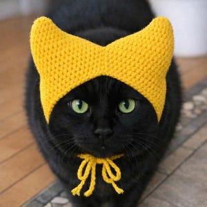 May include: A black cat with bright green eyes wearing a handmade yellow crocheted hat with pointed ears and a matching yellow tie. The cat is looking directly at the camera, showcasing the whimsical pet accessory.