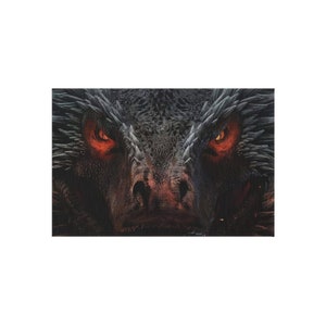 Dragon Eyes Outdoor Rug