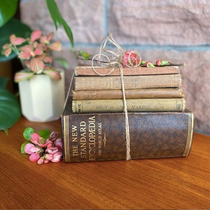 Antique book stack, Brown vintage books , vintage coloured book bundle